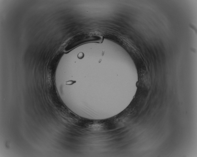 X0000091510312200709071000