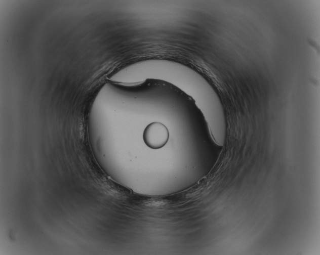 X0000091510313200709071000