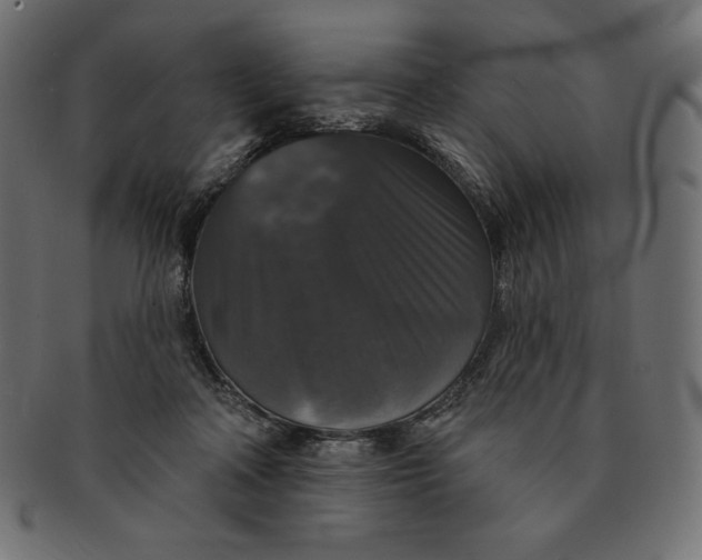 X0000091510314200709071000