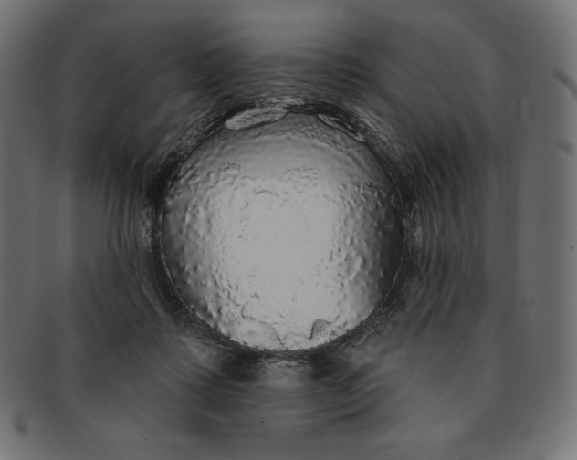 X0000091510315200709071000