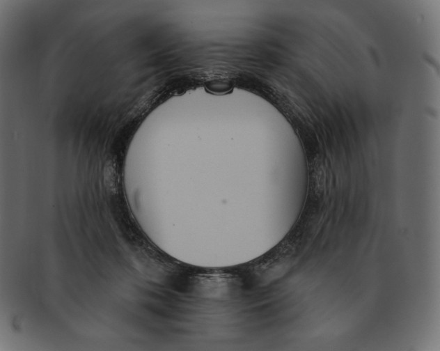 X0000091510316200709071000