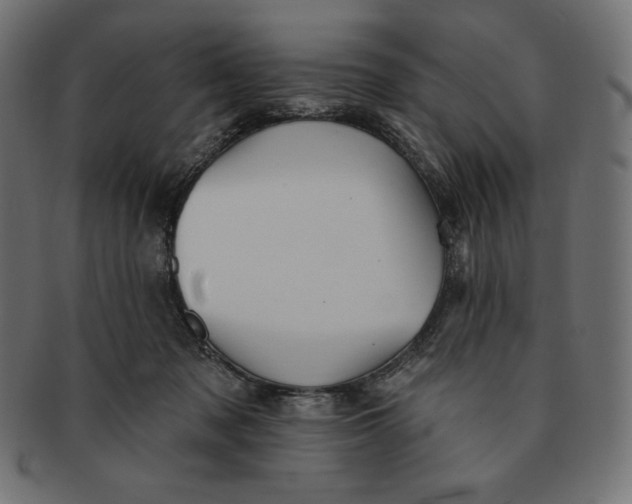 X0000091510317200709071000