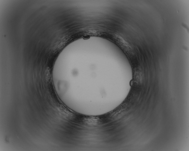 X0000091510318200709071000