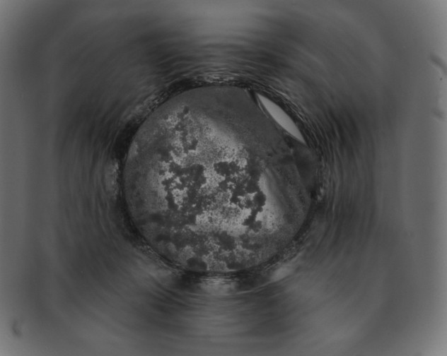 X0000091510319200709071000