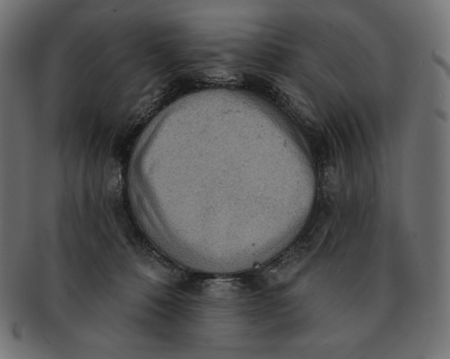 X0000091510320200709071000