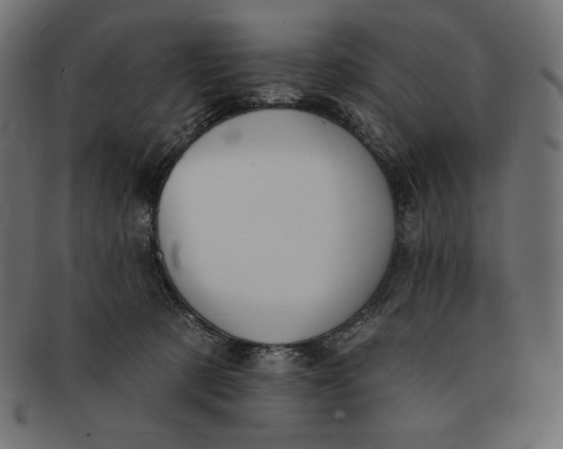 X0000091510321200709071000