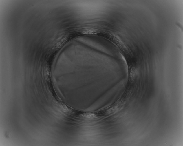 X0000091510322200709071000