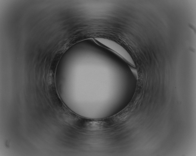 X0000091510323200709071000