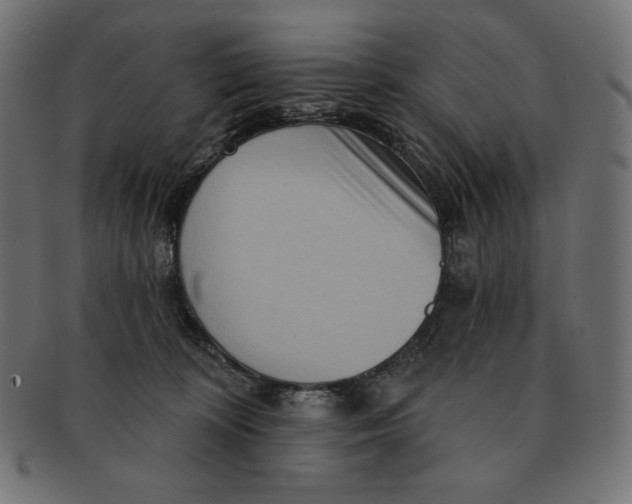 X0000091510324200709071000