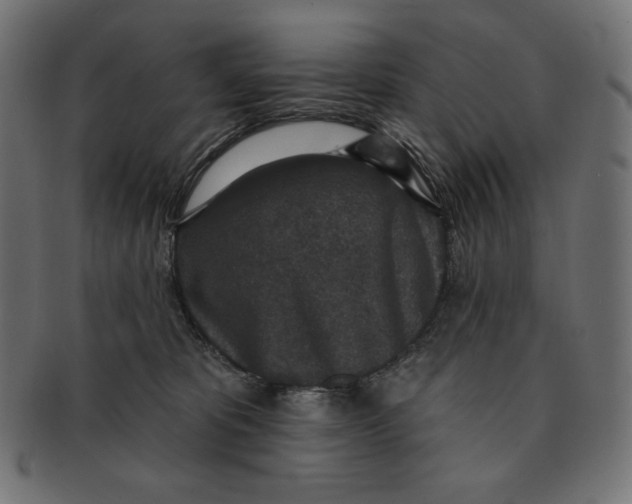 X0000091510325200709070959