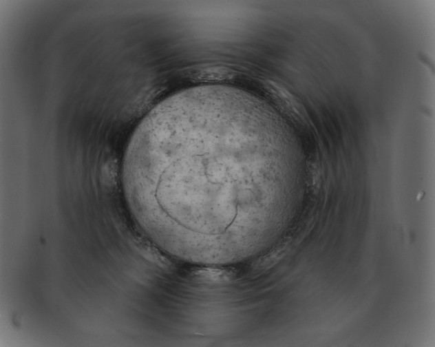 X0000091510326200709070959