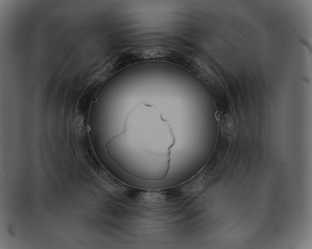 X0000091510327200709070959