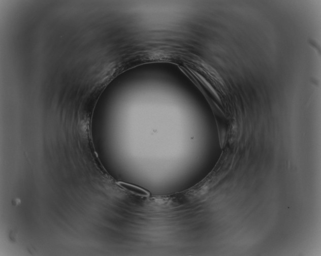 X0000091510329200709070959