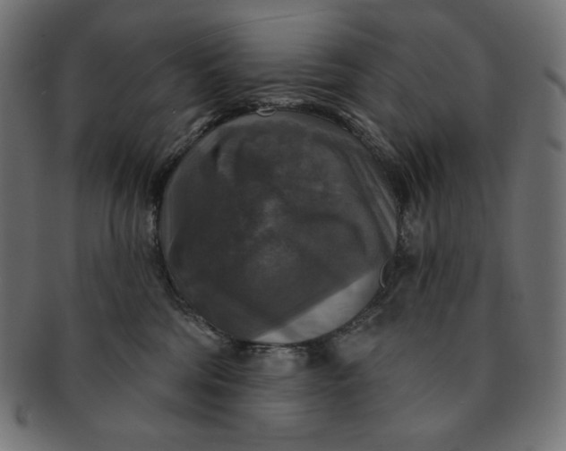 X0000091510330200709070959