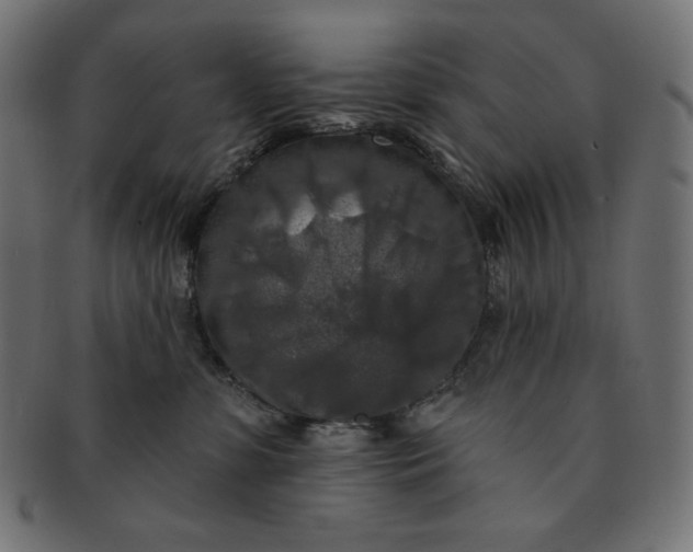 X0000091510331200709070959