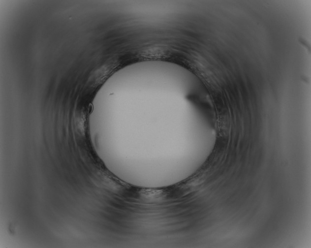 X0000091510334200709070959