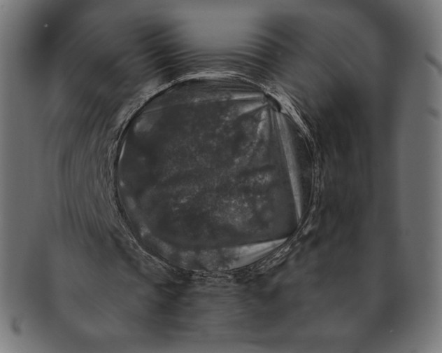 X0000091510337200709070959