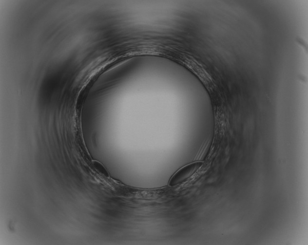 X0000091510338200709070959