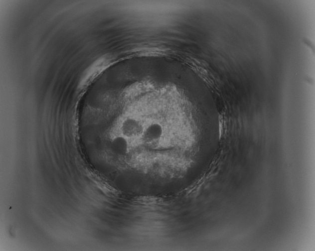 X0000091510339200709070959