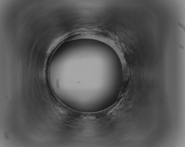 X0000091510340200709070959