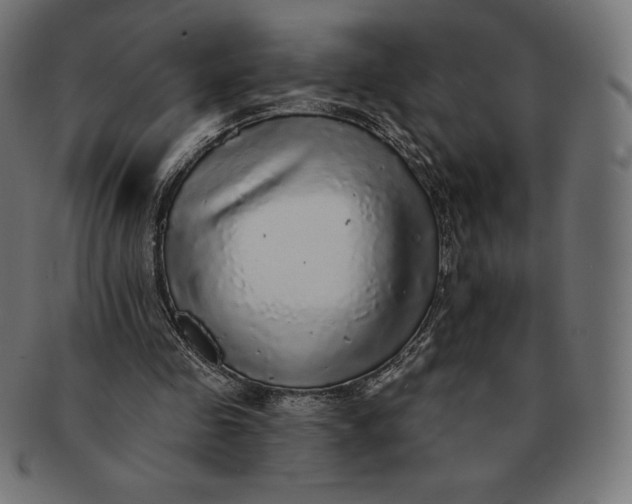 X0000091510341200709070959