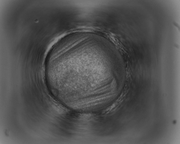 X0000091510342200709070959