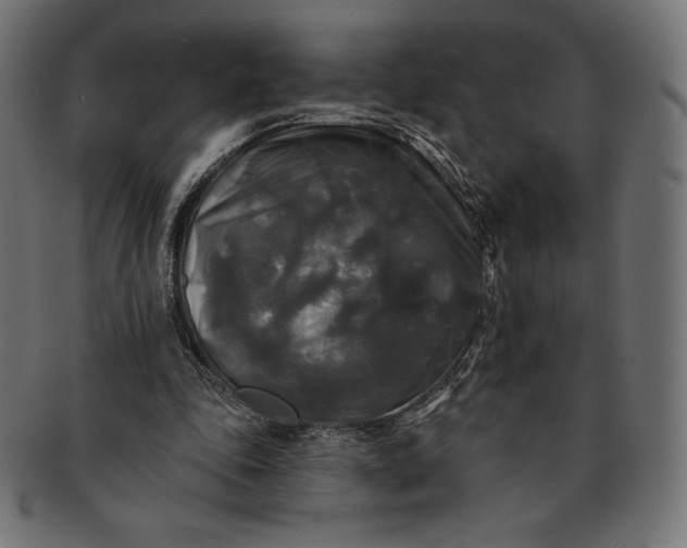 X0000091510343200709070959