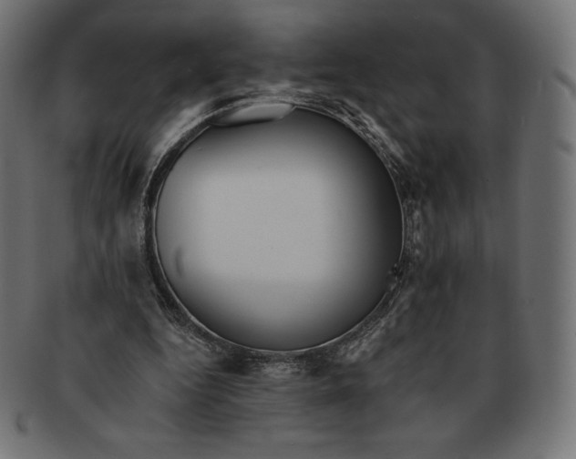 X0000091510344200709070959