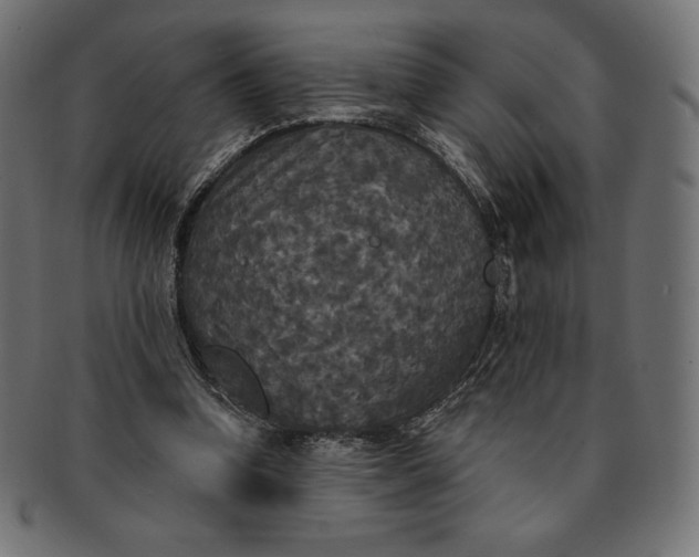 X0000091510346200709070959