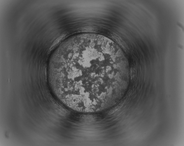 X0000091510349200709070959