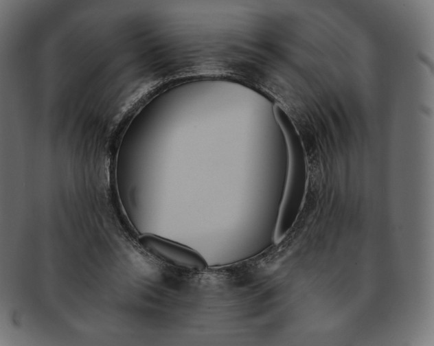 X0000091510350200709070959