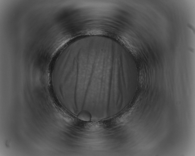 X0000091510351200709070959