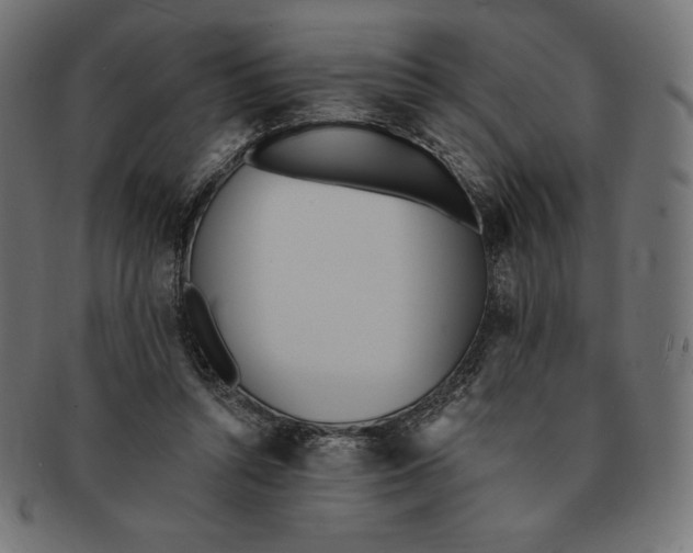 X0000091510352200709070959