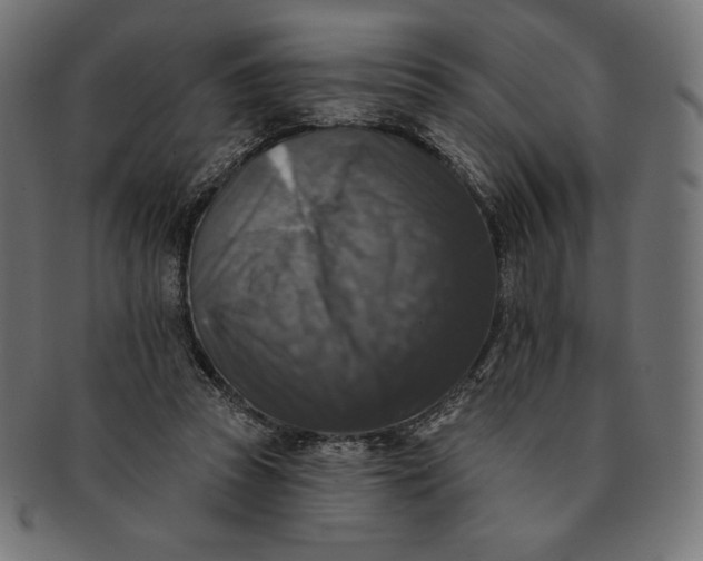 X0000091510353200709070959