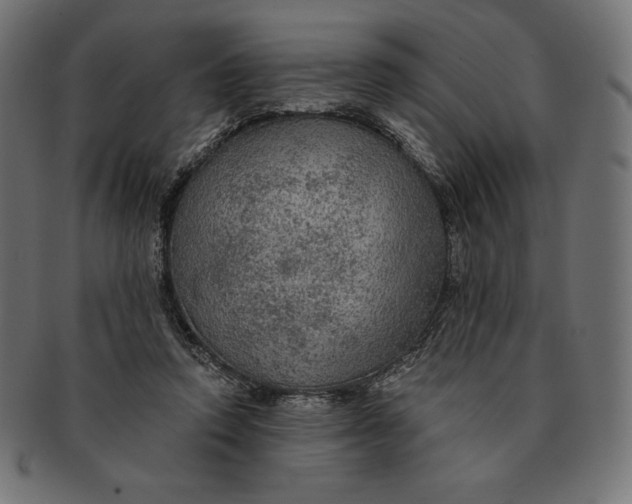 X0000091510354200709070959