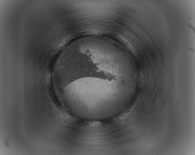 X0000091510355200709070959