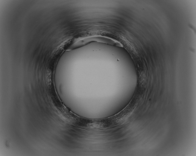 X0000091510356200709070959