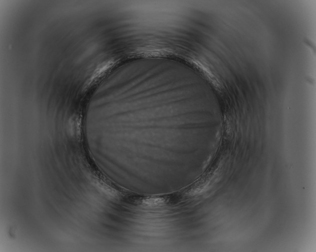 X0000091510357200709070959