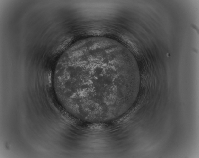 X0000091510358200709070959