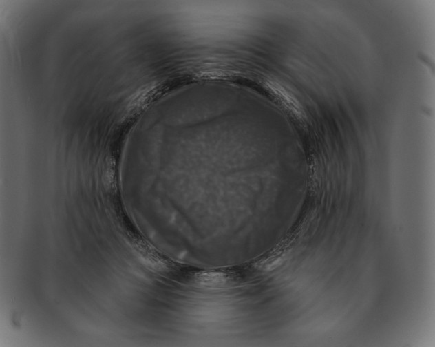 X0000091510361200709070959