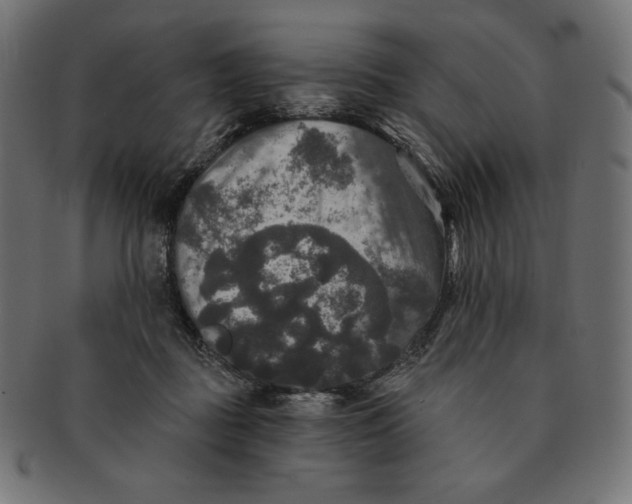 X0000091510363200709070959