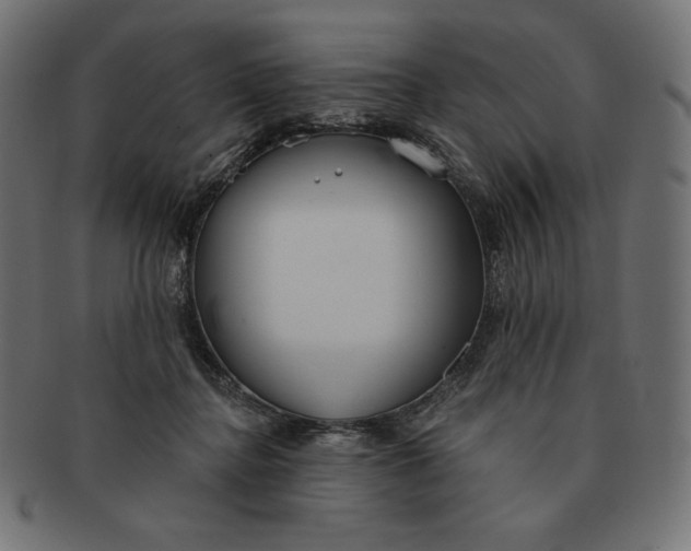 X0000091510364200709070959