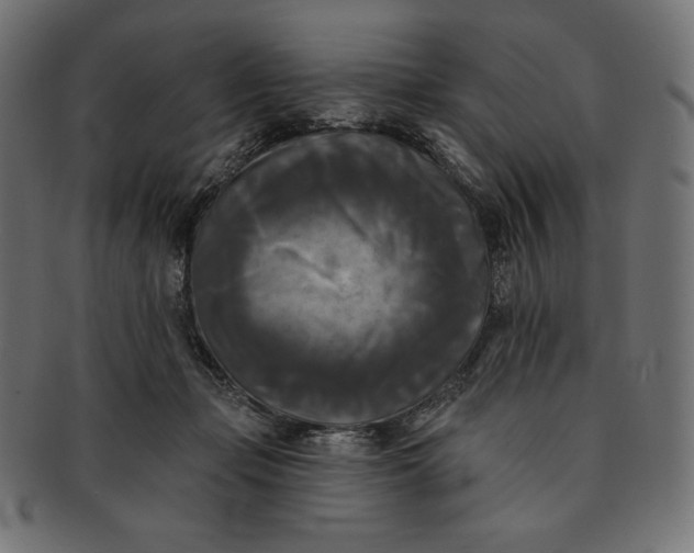 X0000091510365200709070959