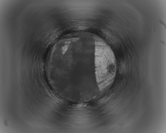 X0000091510366200709070959