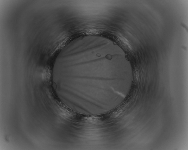 X0000091510367200709070959