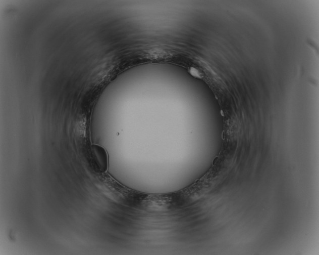 X0000091510368200709070959