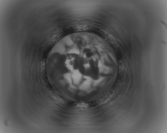 X0000091510369200709070959