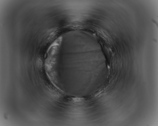 X0000091510371200709070959