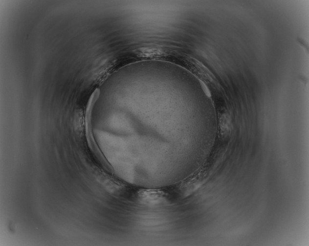 X0000091510372200709070959