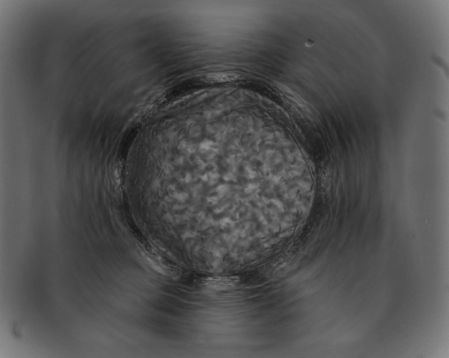 X0000091510373200709070959